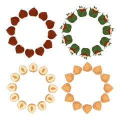 Set round of hazelnuts borders for design and decoration. Peeled hazelnuts, in shell, with green leaves and cut. For packaging, food design.	
