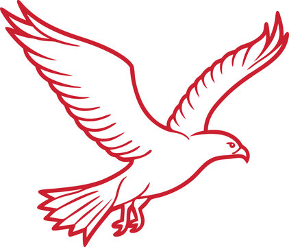 Hawk Silhouette Line Art Vector Illustration On White Background