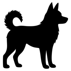 Silhouette of alert dog standing. Silhouette of standing dog with pointed ears and curled tail