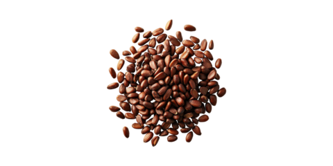 Pile Of Pine Nuts. Nutritious Seeds For Culinary And Health Uses Isolated On Transparent Background