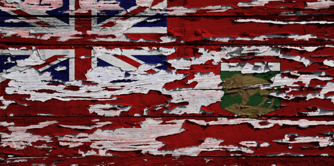 Flag of Manitoba painted on a wooden board