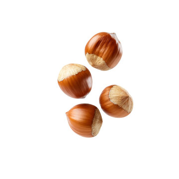 Whole hazelnuts in nutshells floating in the air isolated on a transparent background