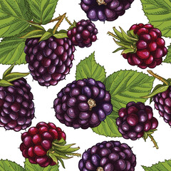 Hand drawn colorful fresh blackberries. Vector seamless pattern with blackberries berries and leaves. For kitchen design, food packaging, textiles.