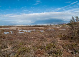 Paraje Natural Punta Entinas-Sabinar, catalogado como Espacio Natural Protegido. Roquetas de Mar,...