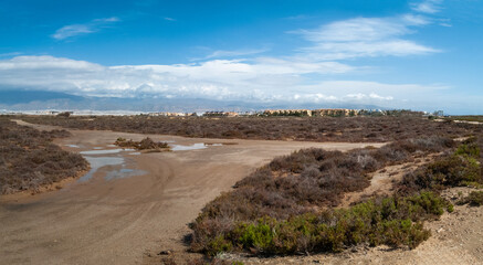 Paraje Natural Punta Entinas-Sabinar, catalogado como Espacio Natural Protegido. Roquetas de Mar,...