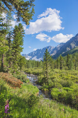 River in the Kuiguk Valley. Altai mountains landscape