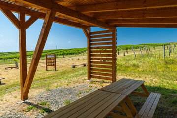 Wooden picnic tables under shelter overlooking vineyard in Dolne Oresany, Slovakia