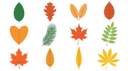 Autumn Leaves Collection Colorful Fall Foliage Illustrations