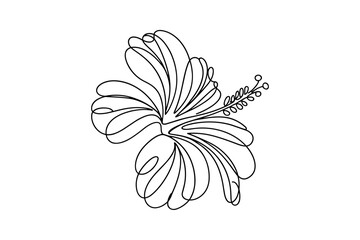 Elegant hibiscus line art tropical flower design vector illustration © MDJAHIDUL