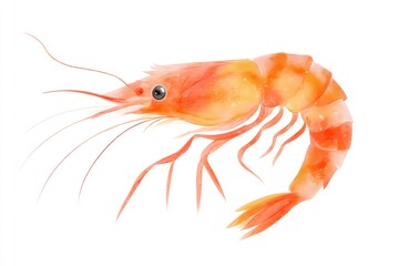 A watercolorstyle depiction of a shrimp featuring a curved body long antennae and orangeyellow hues