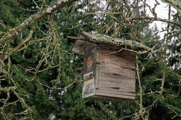 Nichoir à oiseaux