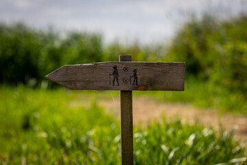 Wooden Hiking Trail Sign in Green Landscape