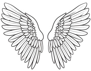 Obraz premium Graceful pair of white angel wings with delicate feathers, ready for flight