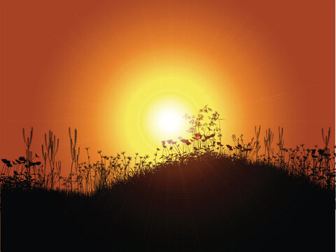 sunset background 2006