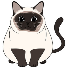 Siamese cat cute. Vector illustration isolated.