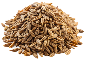 Caraway generative ai