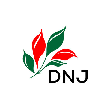 DNJ Modern Leaf Logo Design with Red and Green Colors, DNJ Later Logo, Nature Inspired Minimalist Logo Template, Professional Plant Logo for Business Branding.
