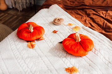 Decorative pumpkins on a cozy bed ready for autumn and fall season celebrations