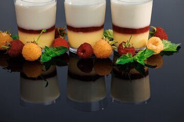 Homemade fresh panna cotta in glasses. Delicious Italian dessert. Verin raspberry ice cream lemon...