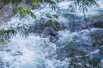 初夏の水辺　水流で泡立つ清84