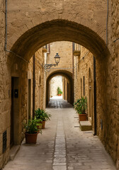 A centered photo of a narrow Mediterranean stone alley, layered with rustic arches, a cobbled path lined with potted plants, and iron balconies. 
