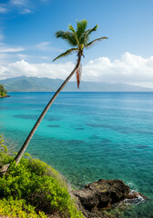 A lone palm tree standing on a coastal cliff, with a calm turquoise sea and distant mountains fading into the background under a lightly clouded sky. 