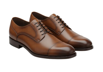 Isolated Brown Leather Dress Shoes Classic Footwear