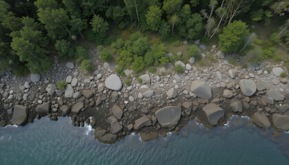 Aerial View of Rocky Shoreline with Lush Green Forest On Edge