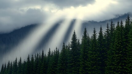 Serene forest landscape with sunlight rays piercing through misty clouds over pine trees
