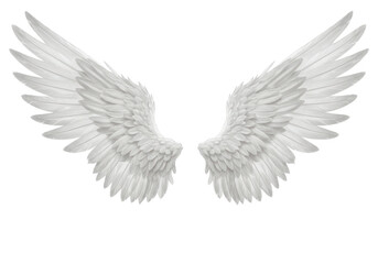Isolated Angel Wings Feathery Pair for Costume