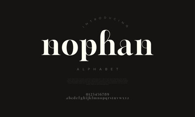 A stylish serif typeface with bold, elegant curves. Great for editorial, logo, and fashion branding