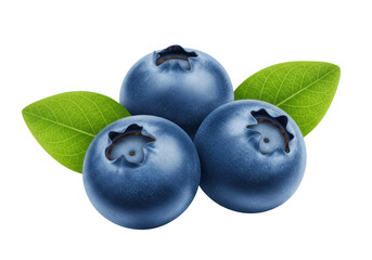 Isolated Three Fresh Blueberries with Green Leaves