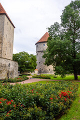 Commander’s Garden in Tallinn Old Town, Estonia, featuring medieval towers, historic stone walls, colorful rose gardens and lush green trees in a tranquil setting.