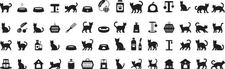 Feline companions and accessories collection animal