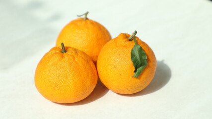 세 개의 한라봉