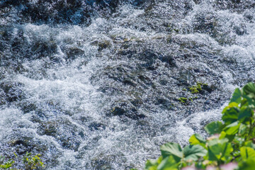初夏の水辺　水流で泡立つ清流108
