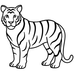 Elegant White Tiger Outline Line Art Vector