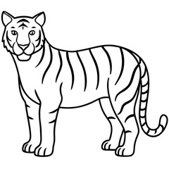 Elegant White Tiger Outline Line Art Vector