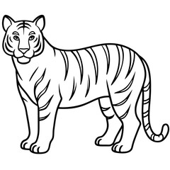 Elegant White Tiger Outline Line Art Vector