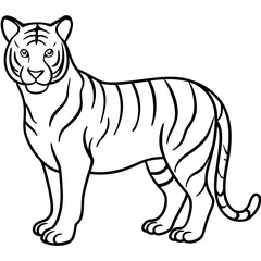 Elegant White Tiger Outline Line Art Vector