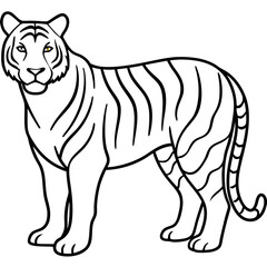 Elegant White Tiger Outline Line Art Vector