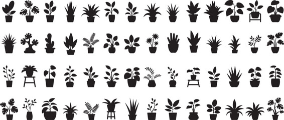 Potted plants silhouettes houseplants indoor plants