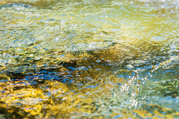 初夏の水辺　清流の流れ水面のアップ134