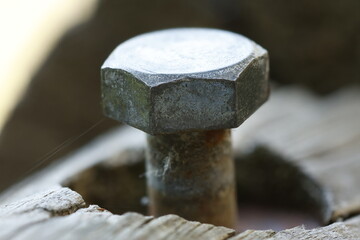 Cabeza de tornillo hexagonal oxidado en tronco de madera del exterior, Alcoy, España