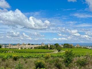 Obraz premium Medieval fortified city of Carcassonne, France, with impressive stone walls and conical towers. A vineyard with lush green grapevines occupies the foreground. 