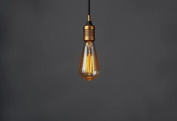 A single vintage Edison bulb hangs against a muted gray backdrop,  photography,  texture