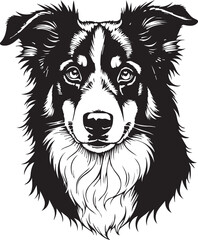 Elegant Border Collie Portrait: A detailed line art illustration showcasing the noble features of a Border Collie, emphasizing its intelligent and watchful gaze.