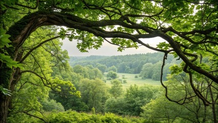Fototapeta premium Natural forest landscape with intertwined branches and leaves forming a seamless organic pattern