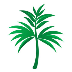 palm tree vector illustration