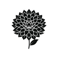 Fototapeta premium Dahlia Vector Icon: Floral Aesthetics in Modern UI/UX
